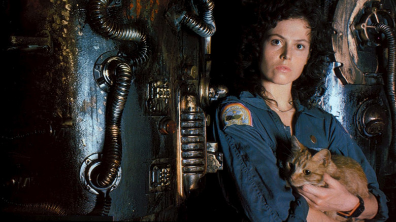 Sigourney Weaver holding a cat